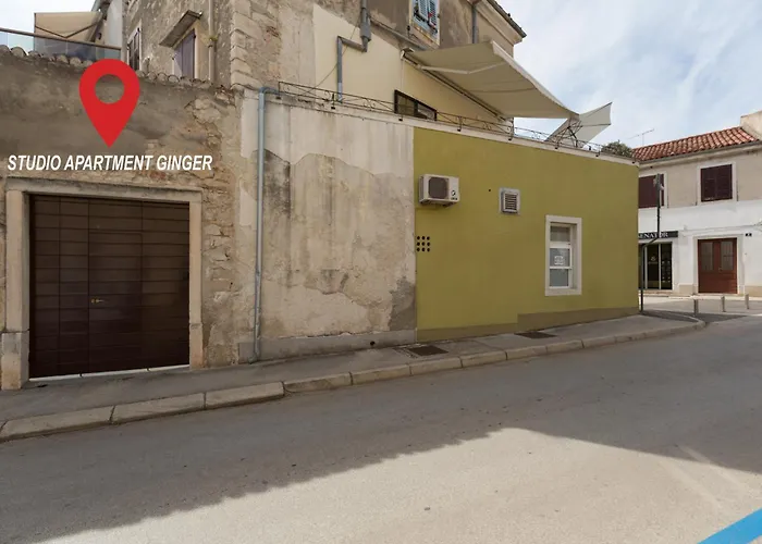 Studio Apartment Ginger Porec